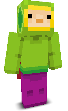User's Minecraft appearance