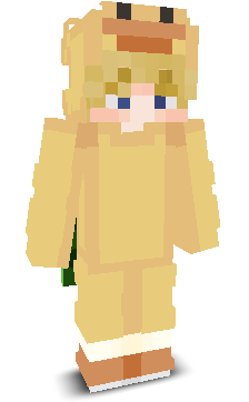 User's Minecraft appearance