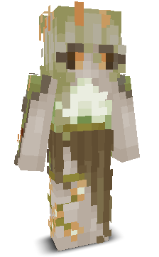 User's Minecraft appearance