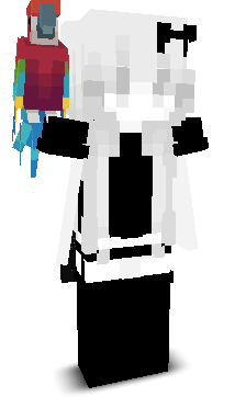 User's Minecraft appearance