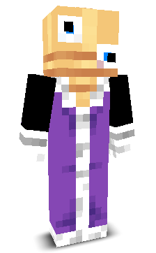 User's Minecraft appearance