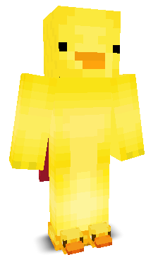 User's Minecraft appearance