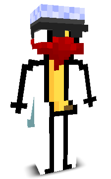 User's Minecraft appearance