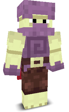 User's Minecraft appearance