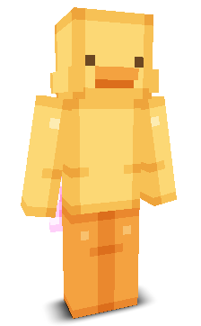User's Minecraft appearance