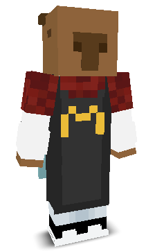 User's Minecraft appearance