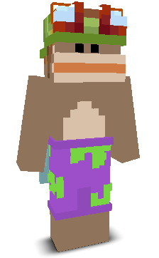 User's Minecraft appearance