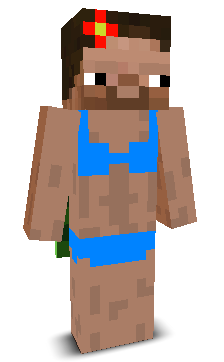 User's Minecraft appearance