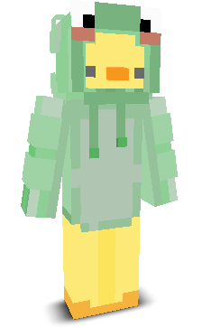 User's Minecraft appearance