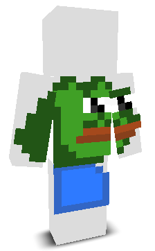 User's Minecraft appearance