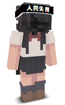 User's Minecraft appearance