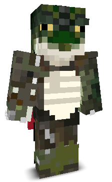 User's Minecraft appearance