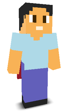 User's Minecraft appearance