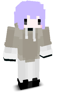 User's Minecraft appearance