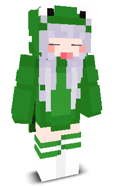 User's Minecraft appearance