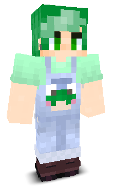 User's Minecraft appearance