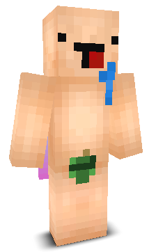 User's Minecraft appearance