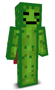 User's Minecraft appearance