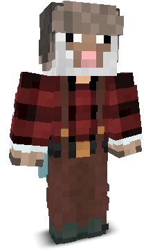 User's Minecraft appearance