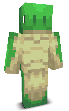 User's Minecraft appearance
