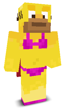 User's Minecraft appearance