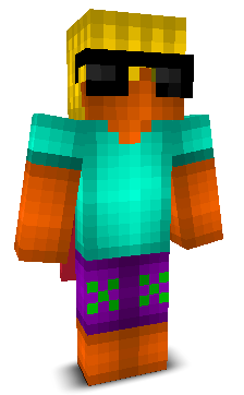 User's Minecraft appearance