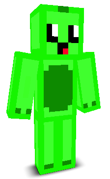 User's Minecraft appearance