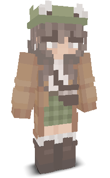 User's Minecraft appearance