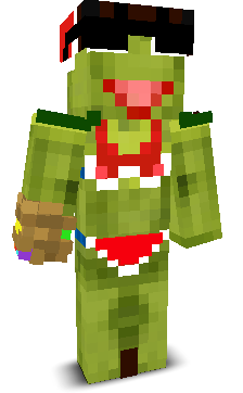 User's Minecraft appearance