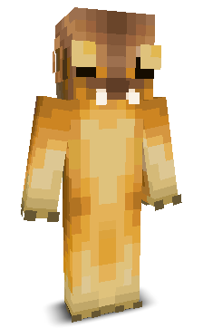User's Minecraft appearance