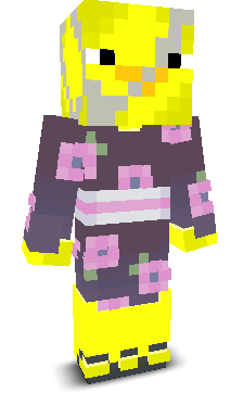 User's Minecraft appearance