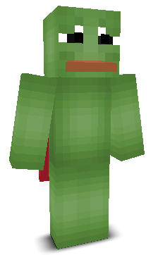 User's Minecraft appearance