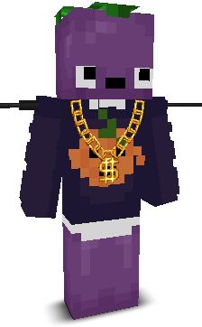 User's Minecraft appearance