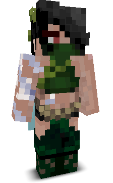 User's Minecraft appearance