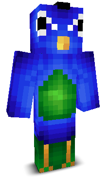 User's Minecraft appearance