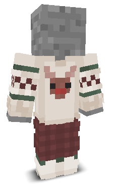 User's Minecraft appearance