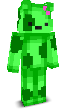 User's Minecraft appearance