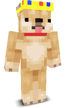 User's Minecraft appearance