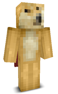 User's Minecraft appearance