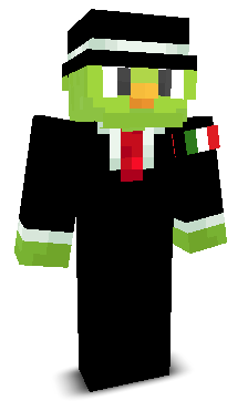 User's Minecraft appearance