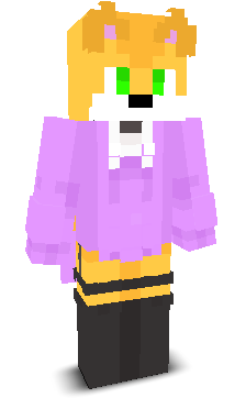 User's Minecraft appearance