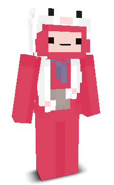 User's Minecraft appearance