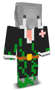 User's Minecraft appearance