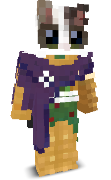 User's Minecraft appearance