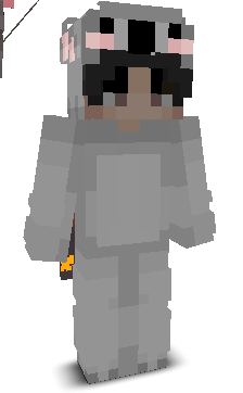 User's Minecraft appearance