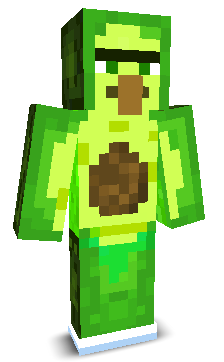 User's Minecraft appearance