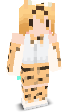 User's Minecraft appearance
