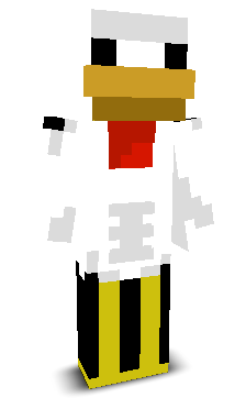 User's Minecraft appearance