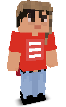 User's Minecraft appearance