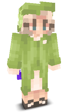 User's Minecraft appearance